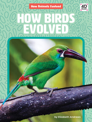 cover image of How Birds Evolved